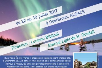 Flyer stage 2017