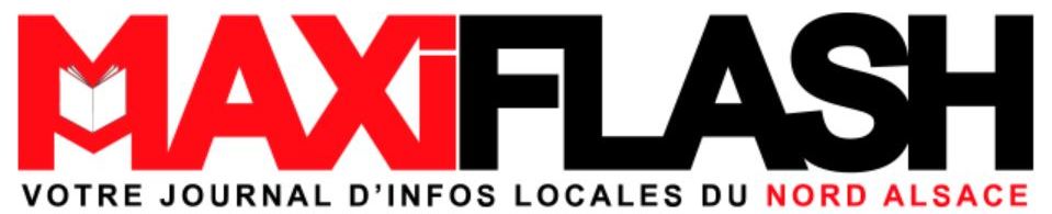 Logo Maxi Flash